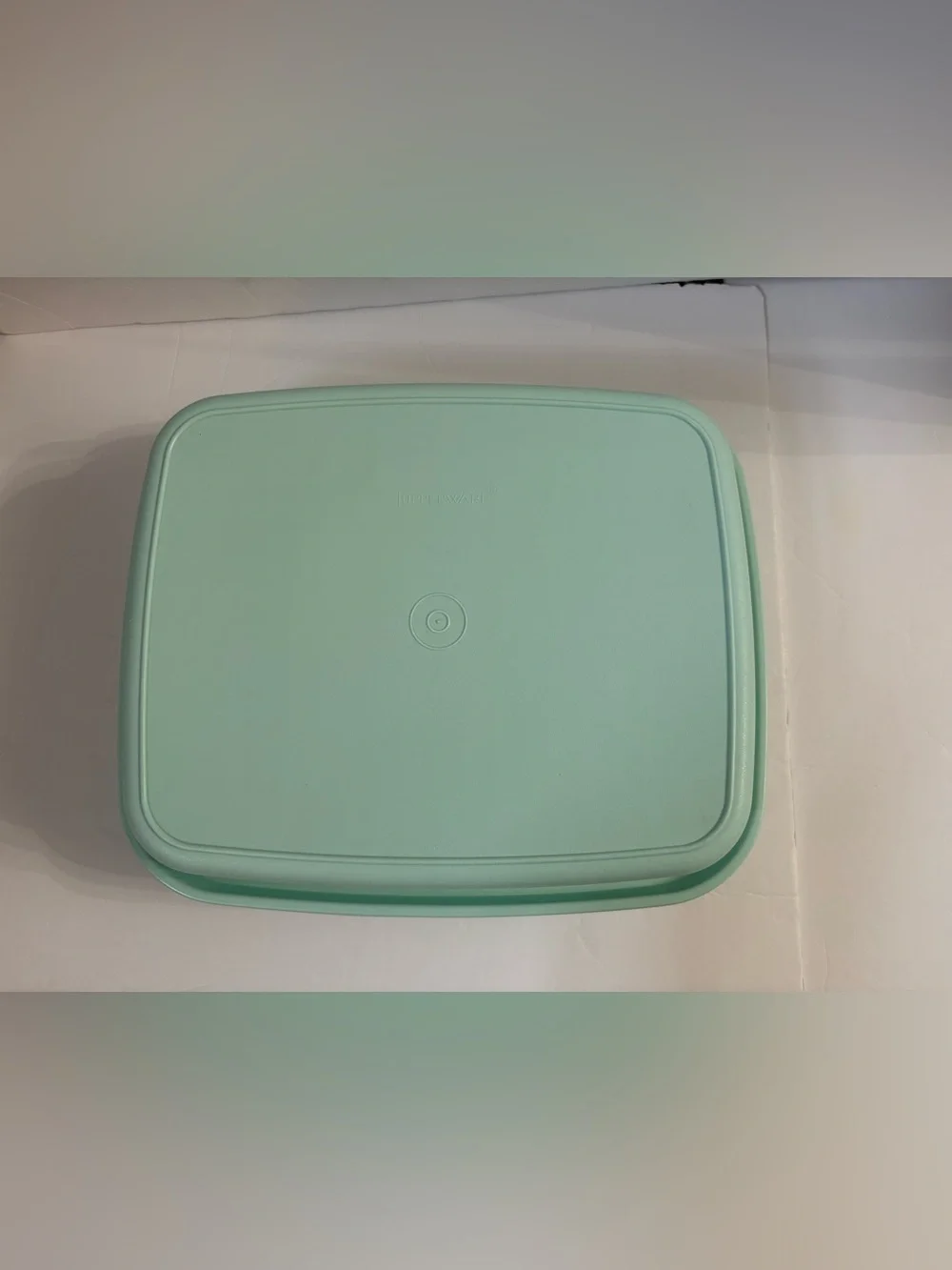 Tupperware Season-Serve Marinade Container Aqua Mint Light Blue